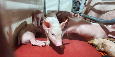 車輛洗消中心設(shè)計要求（規(guī)劃要求）？